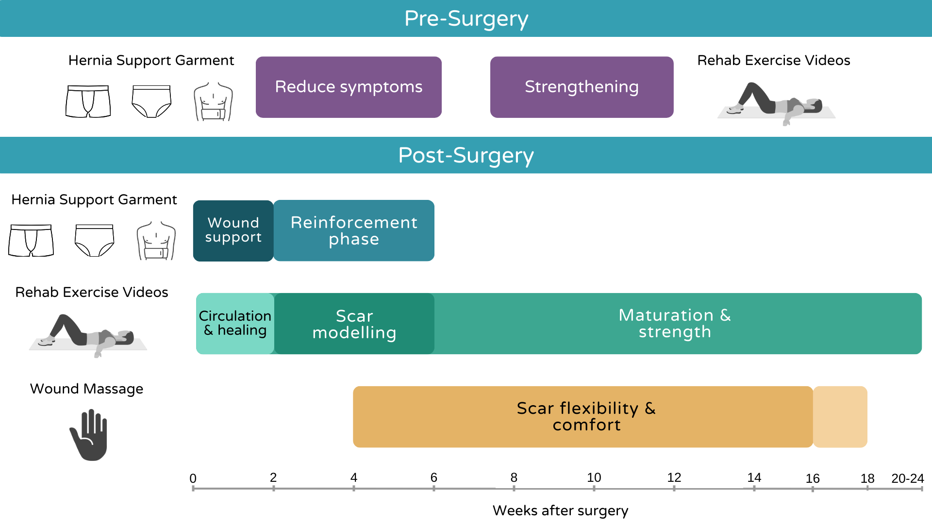 Graphic showing a timeline of when the different aspects of the Hernia Recovery programme help, labelled from 0-24 weeks post-surgery.